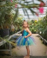 Great Pretenders Peacock Dress with Headband