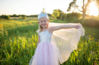 Great Pretenders Princess Crown Sequins and Veil