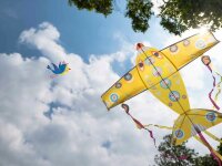 Djeco Kite Maxi Airplane