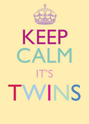 Keep Calm Its Twins Karte