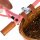 Banwood Balance Bike First Go Coral