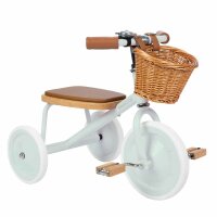 Banwood Dreirad Trike Pale Mint