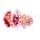 Souza for Kids Dress Up Accessory Flower Headband Olivia Elf Crown Fairy Crown