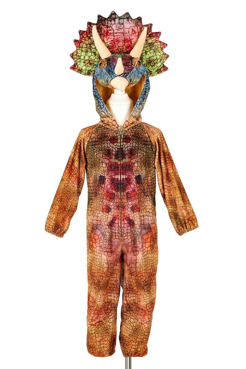 Dinosaur Childrens Costume Playsuit main image 1