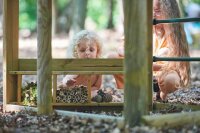 Plum Wooden Playcenter Adventure