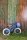 Banwood Balance Bike First Go Cream