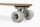 Banwood Skatebeard for Children Mint