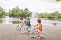 Banwood Balance Bike ICON