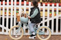 Bobbin  Gingersnap Childrens Bike 16 Inch