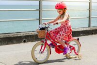 Bobbin  Gingersnap Childrens Bike 16 Inch