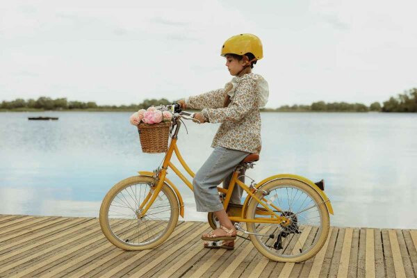 Bobbin Gingersnap Childrens Bike 20 Inch