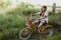 Bobbin Gingersnap Childrens Bike 20 Inch