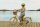 Bobbin Gingersnap Childrens Bike 20 Inch