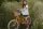 Bobbin Gingersnap Childrens Bike 20 Inch