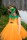 Great Pretenders Pumpkin Patch Princess Dress & Headband – Kids Halloween Costume