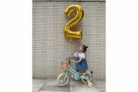 Bobbin Gingersnap Childrens Bike