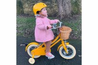 Bobbin Gingersnap Childrens Bike 12 Inch
