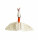 Gamcha Tierkopf Schwan