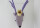 Gamcha Deer Head Wall Decoration Purple
