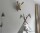 Gamcha Deer Head Wall Decoration Beige