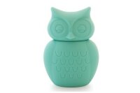 KG Design Owl Money Box Aqua
