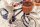 Banwood Classic Childrens Bike 16 inch
