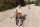 Banwood Classic Childrens Bike 16 inch