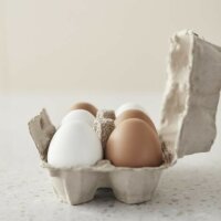 Kids Concept Holz Eier im Eierkarton
