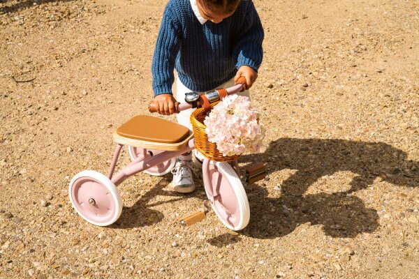 Banwood Trike / Tricycle