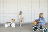 Banwood Trike Tricycle