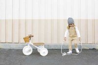 Banwood Dreirad Trike 